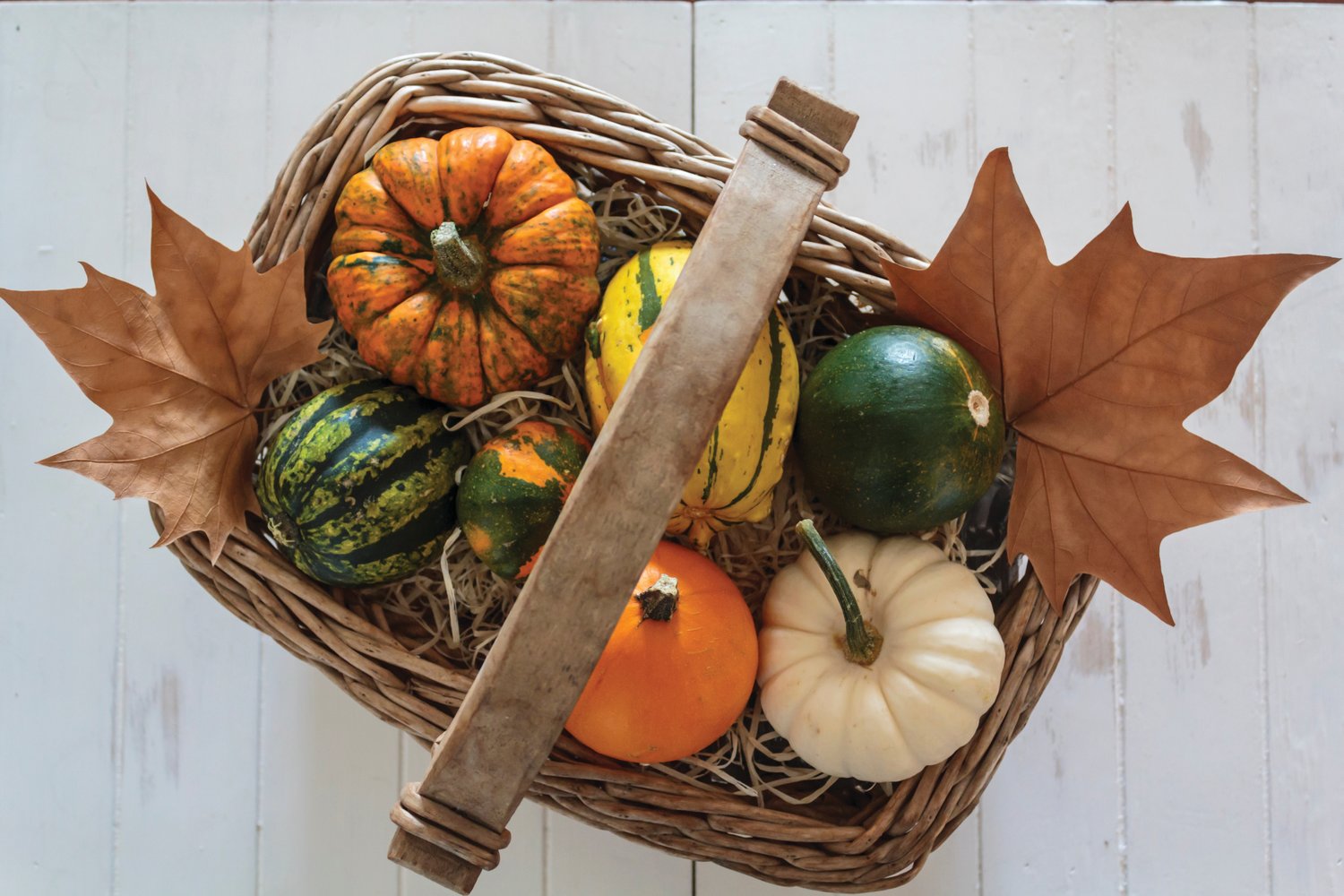 The fall harvest provides a dazzling display of winter squashes.